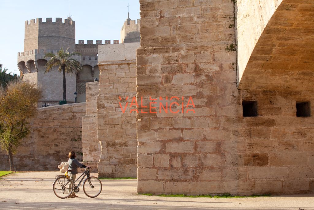 Descubre Valencia en tren