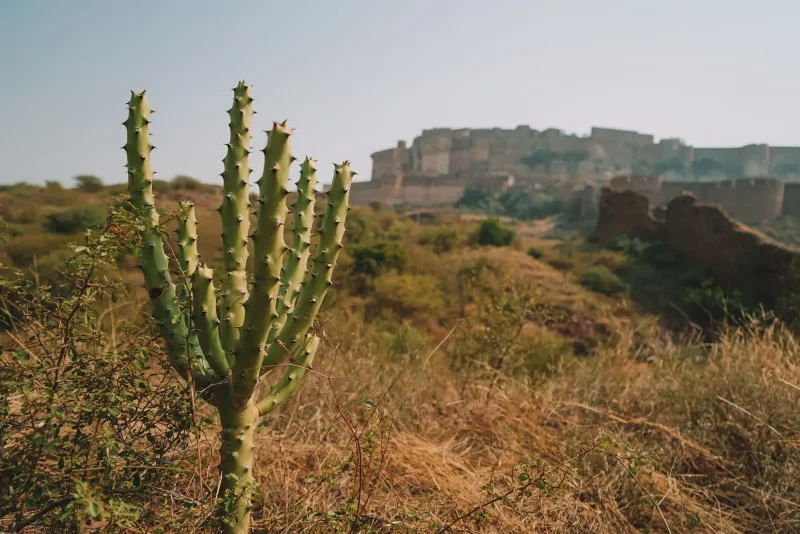 que hacer en Jodhpur