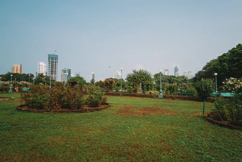que hacer en Bombay Jardín