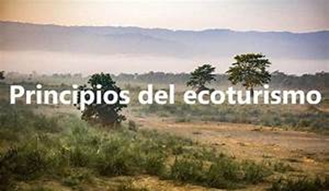 Un Viaje Responsable con la Naturaleza