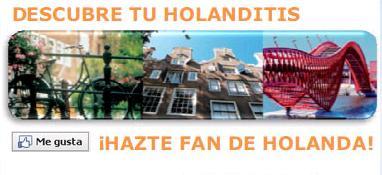 holanditis-3