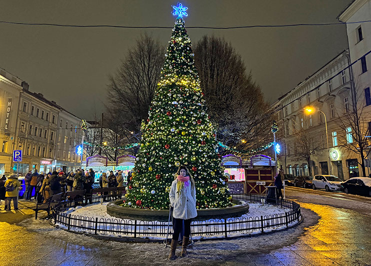 Mercado navideño de Tylovo Námestí Praga