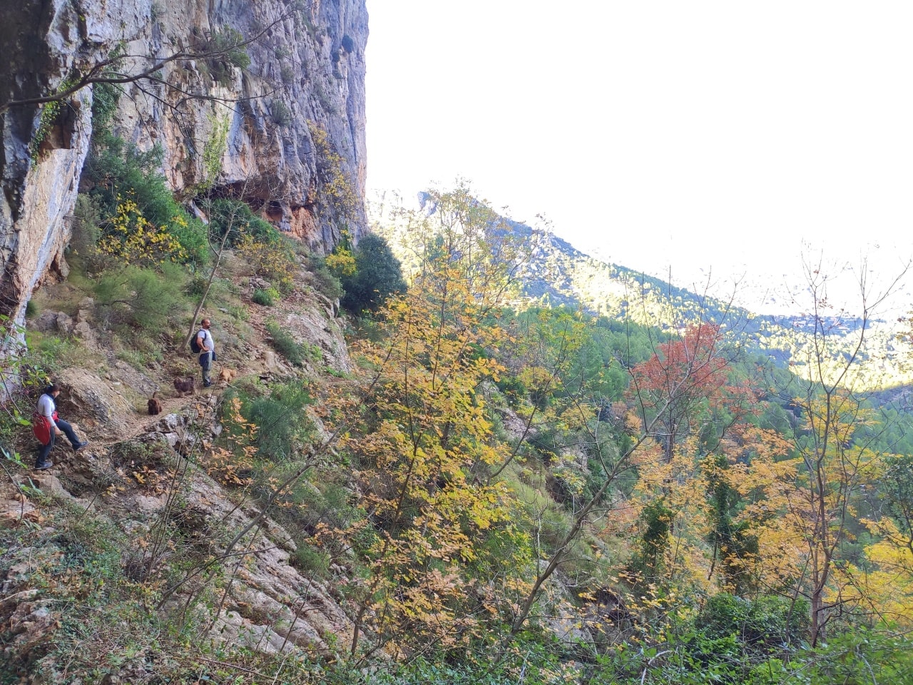 bajando acantilado en la naturaleza