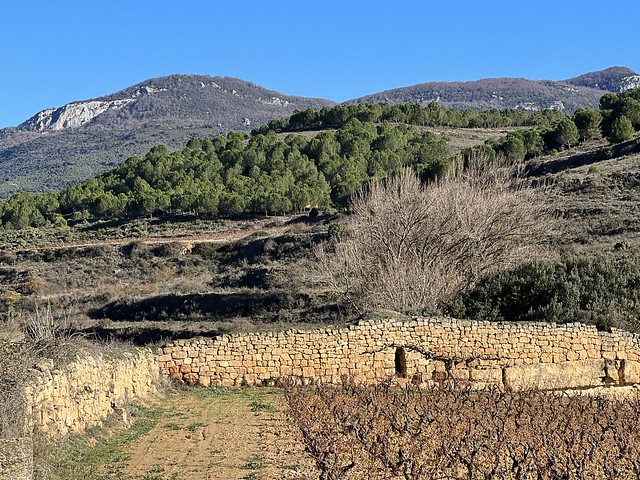 Guardaviñas de Pangua en La Sonsierra (La Rioja)