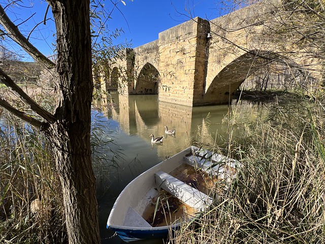 Puente medieval de San Vicente de la Sonsierra en La Rioja