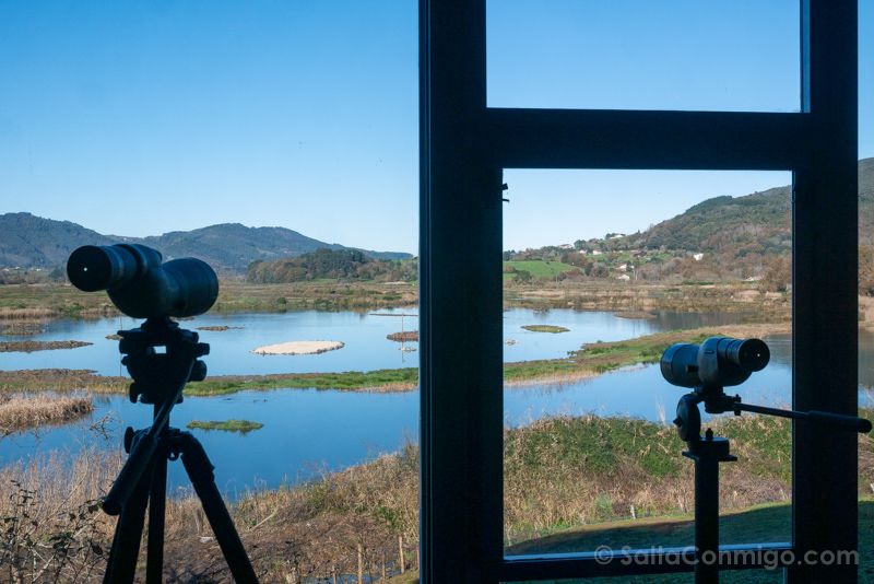 Urdaibai Bird Center Bizkaia Vizcaya Telescopios