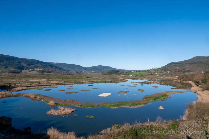 Urdaibai Bird Center Bizkaia Vizcaya Humedal