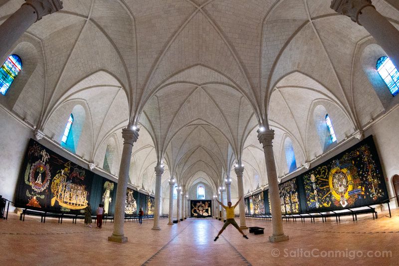 Museo Jean-Luçart Angers Tapices Sala Enfermos Salto