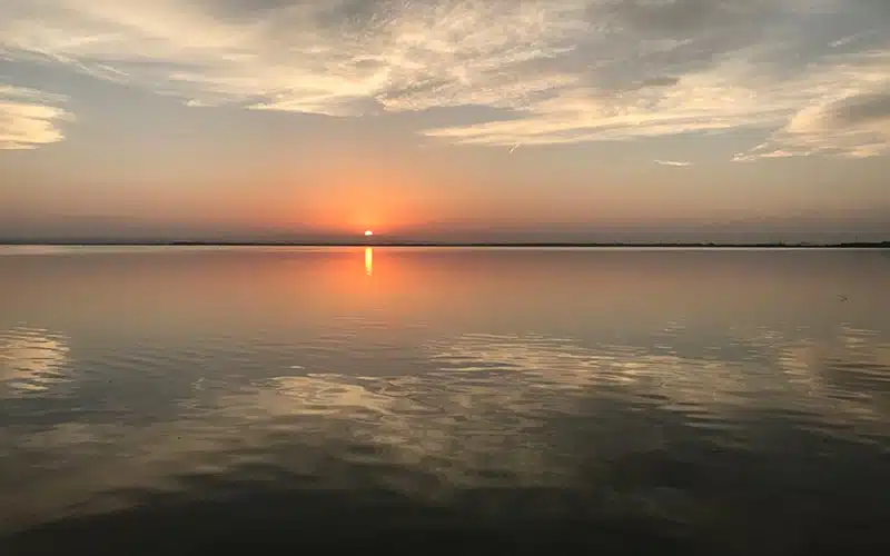 Albufera de Valencia