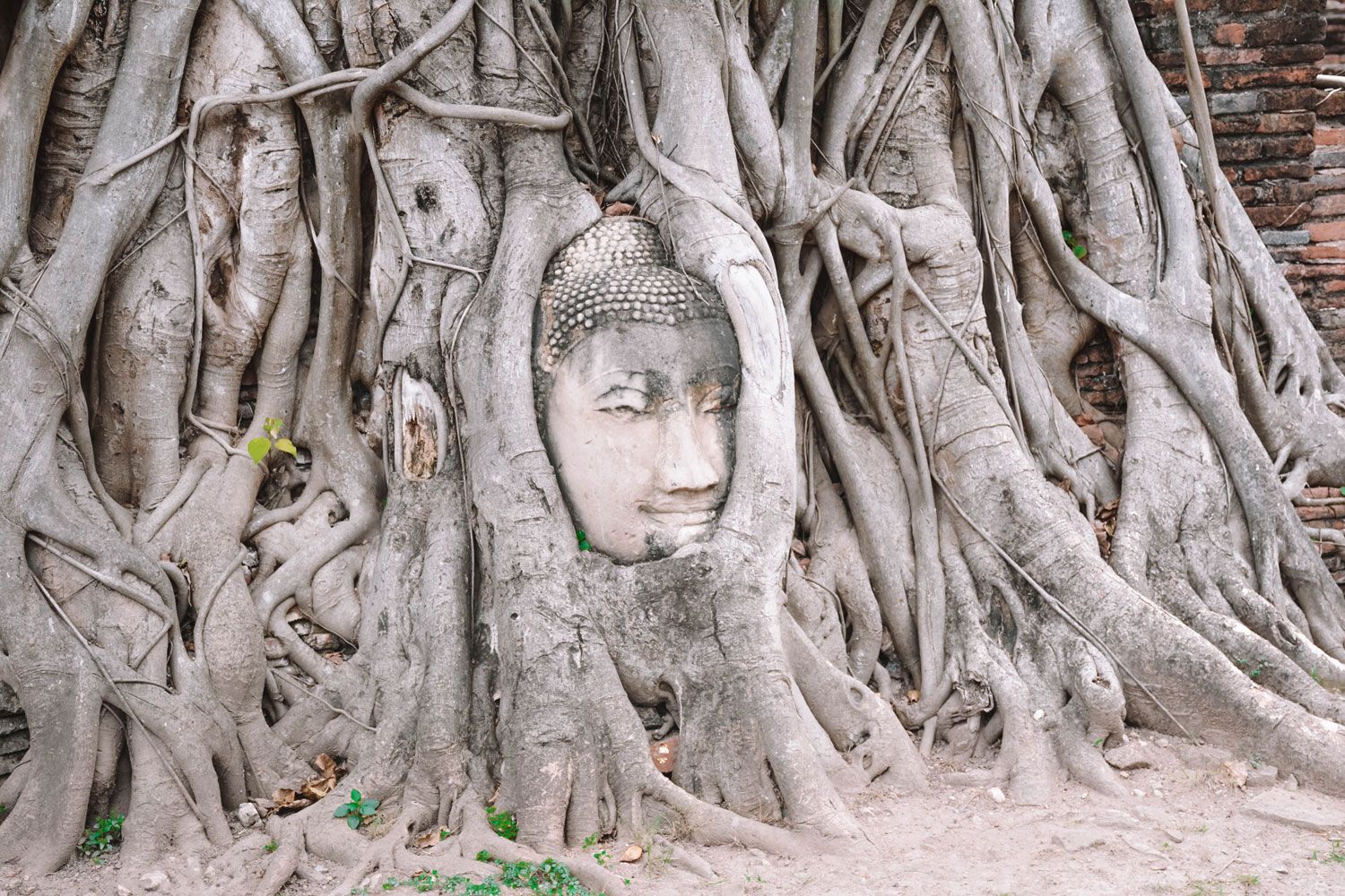 cómo ir de Bangkok a Ayutthaya