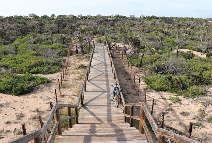 Dunas de Guardamar 