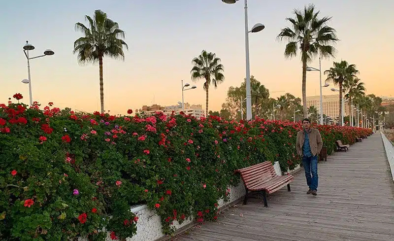 Puente de las flores valencia