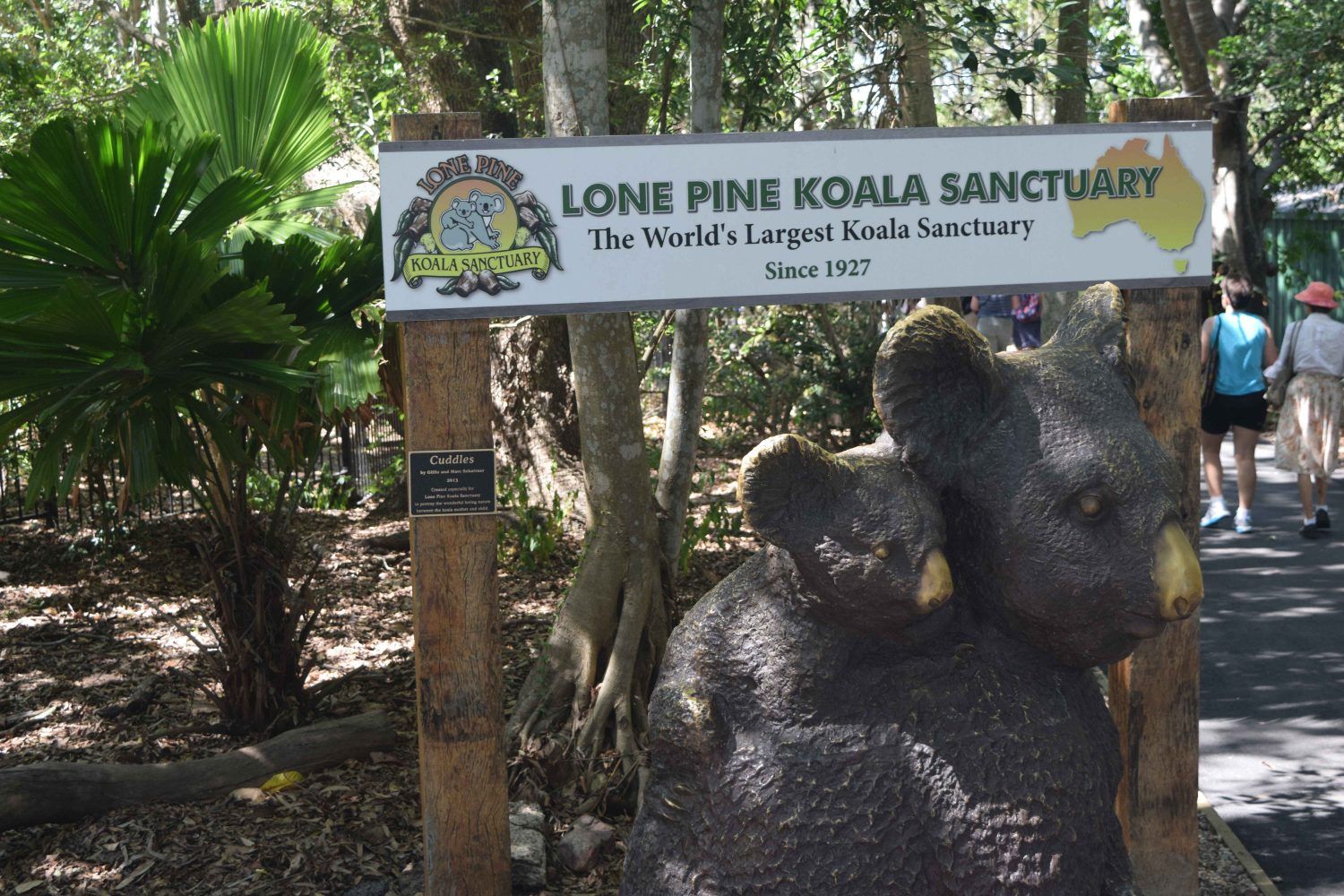 lone pine koala sanctuary