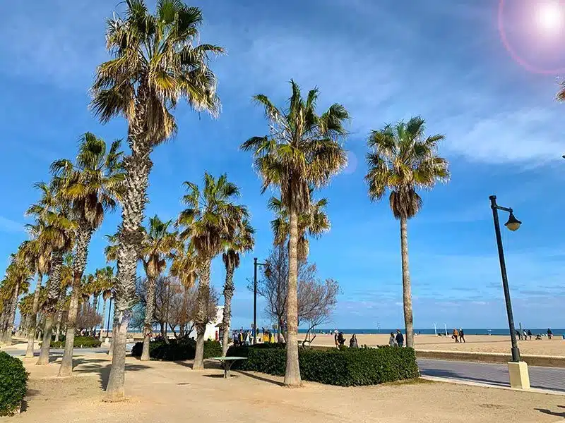 Playa de la Malvarrosa