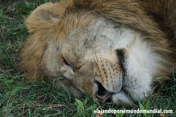 Viajar a Kenia: equipo fotográfico