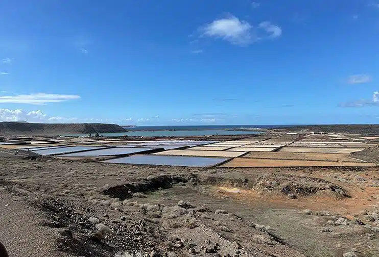 Salinas de Janubio