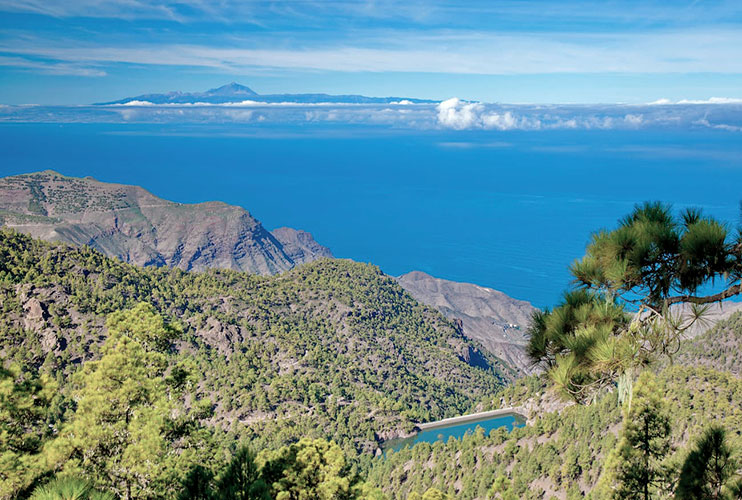 Que ver en Gran Canaria: Parque Natural de Tamadaba