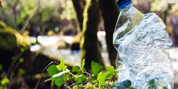 Treseus - ¡Entérate! Plásticos biodegradables; Qué son ¡Tipos y ventajas! - FOTO
