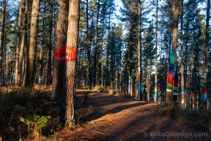 Bosque de Oma Beso