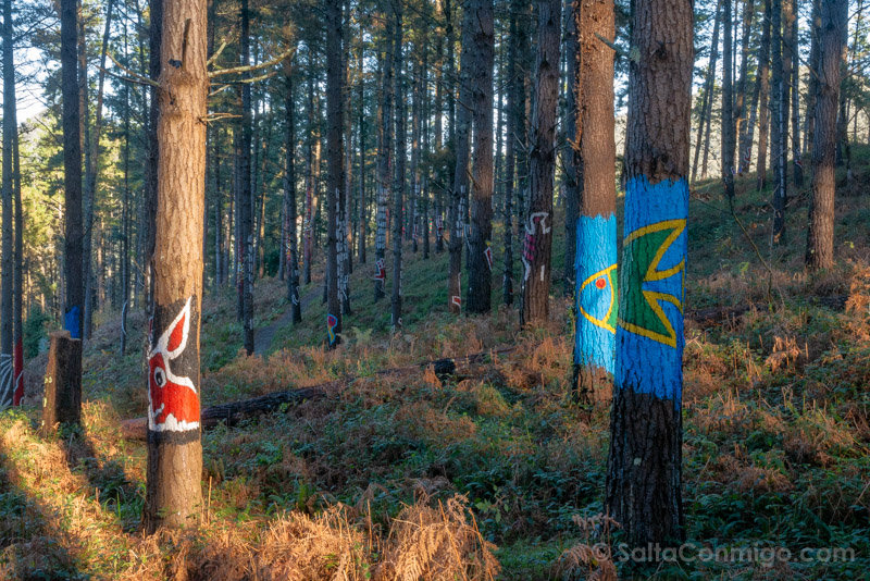 Bosque de Oma Animales del Bosque