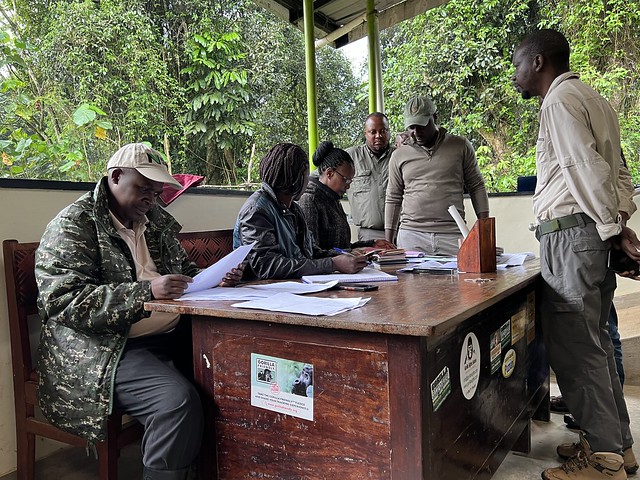 Gestionando los permisos para ver los gorilas en tu visita a Uganda