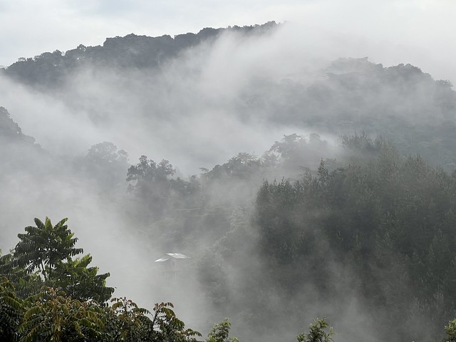 Paisaje de Uganda con niebla