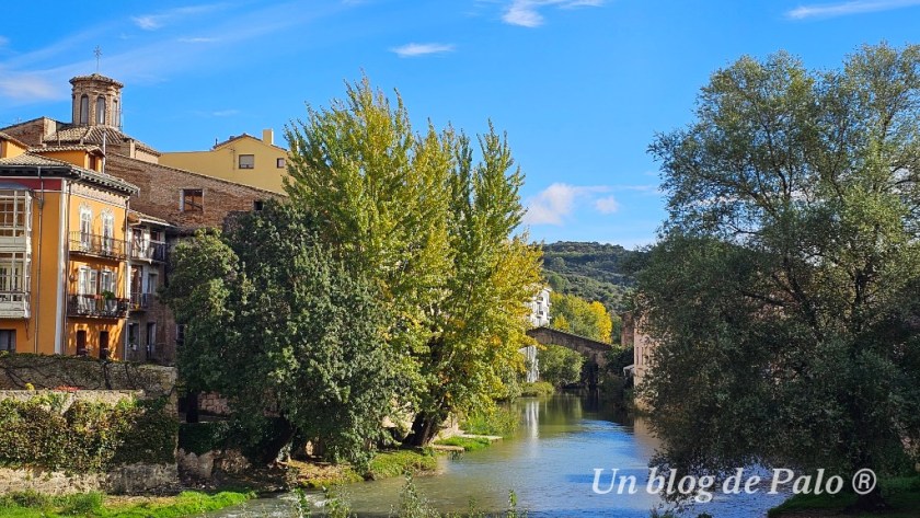 Vistas del Puente de la Cárcel emblema de Estella