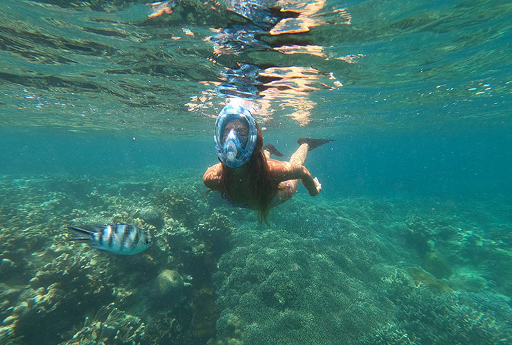 Que hacer en Zanzíbar: snorkel en Mnemba