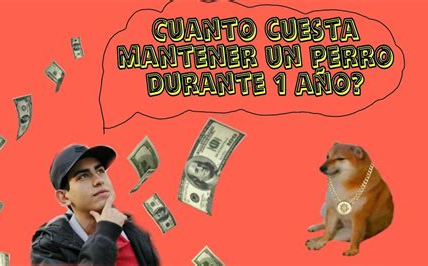 Cuánto cuesta mantener un perro al año: Una guía para dueños responsables 