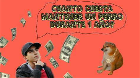 Cuánto cuesta mantener un perro al año: Una guía para dueños responsables 