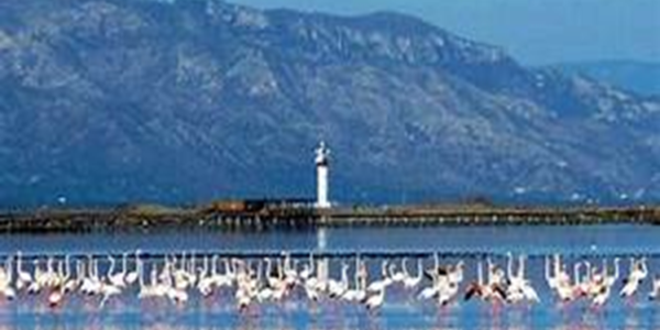 Parque Natural del Delta del Ebro: Sumérgete en la Sugestión de la Naturaleza