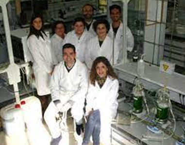 Investigación y Desarrollo: La Gallinaza Compostada como Abono Orgánico de Calidad