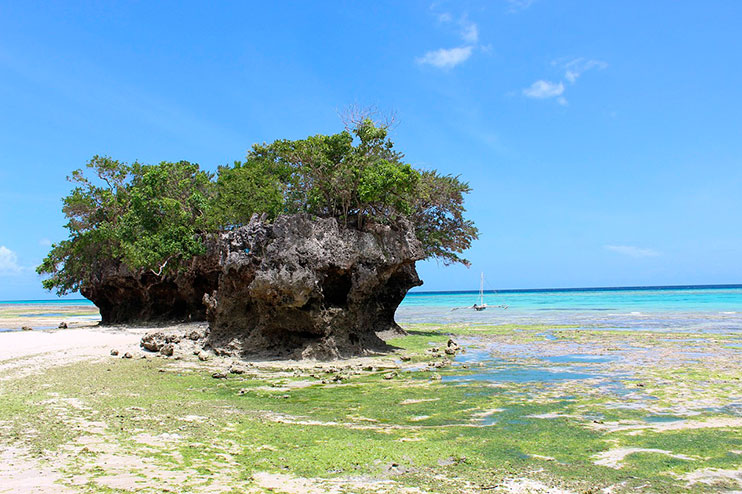 Isla Pemba