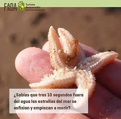 Excursiones en Punta Cana -No tocar a las estrellas de mar