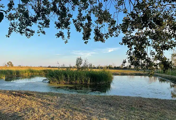 Qué ver en el delta del Ebro