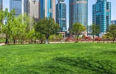 Rodear las Ciudades con Bosques: Una Solución Urbana para un Futuro Sostenible 