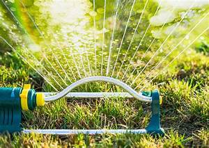 Cómo construir un jardín vertical casero paso a paso: Una solución verde para espacios reducidos 