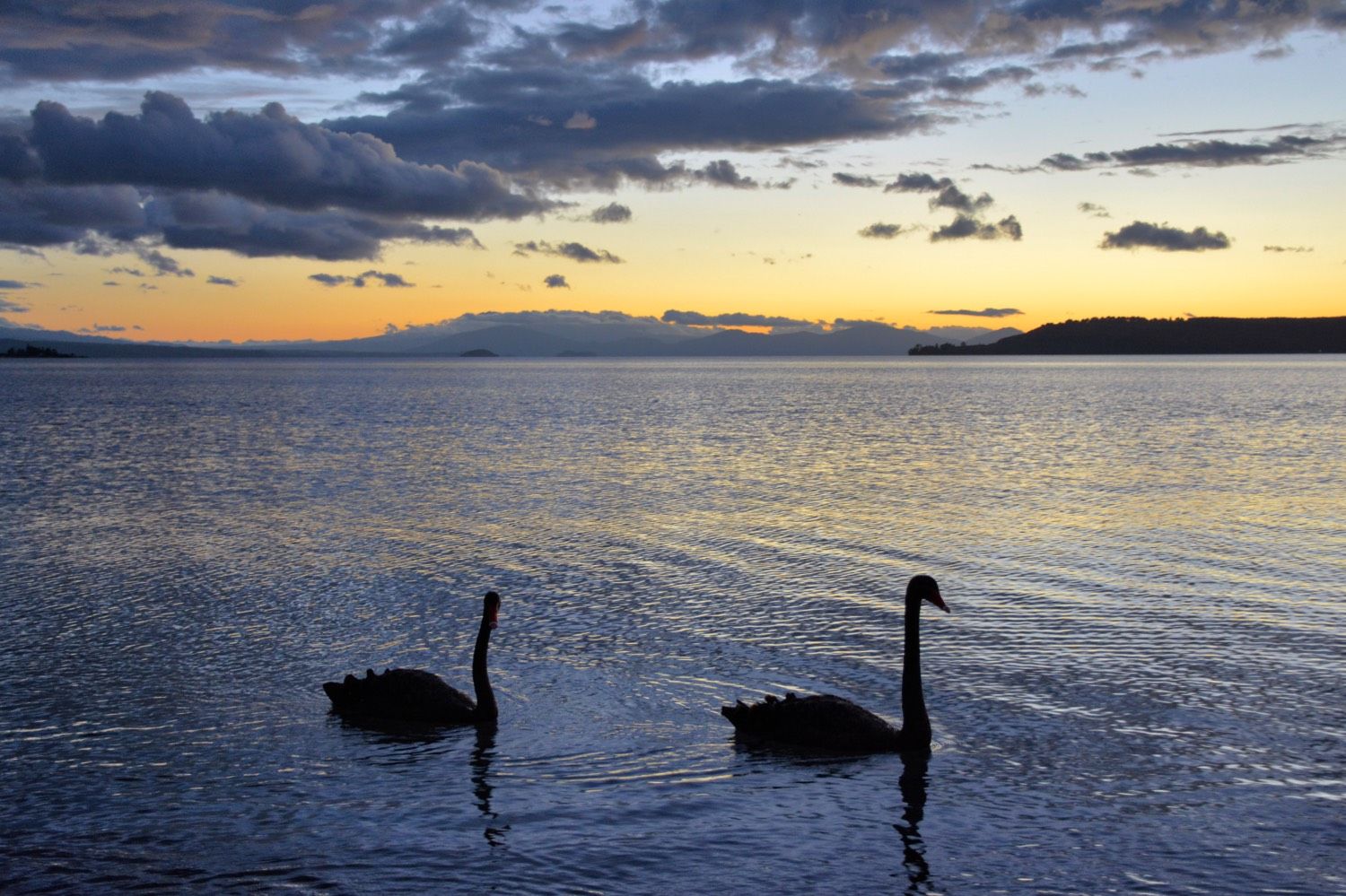 alojarse en Taupo alojarse en Taupo