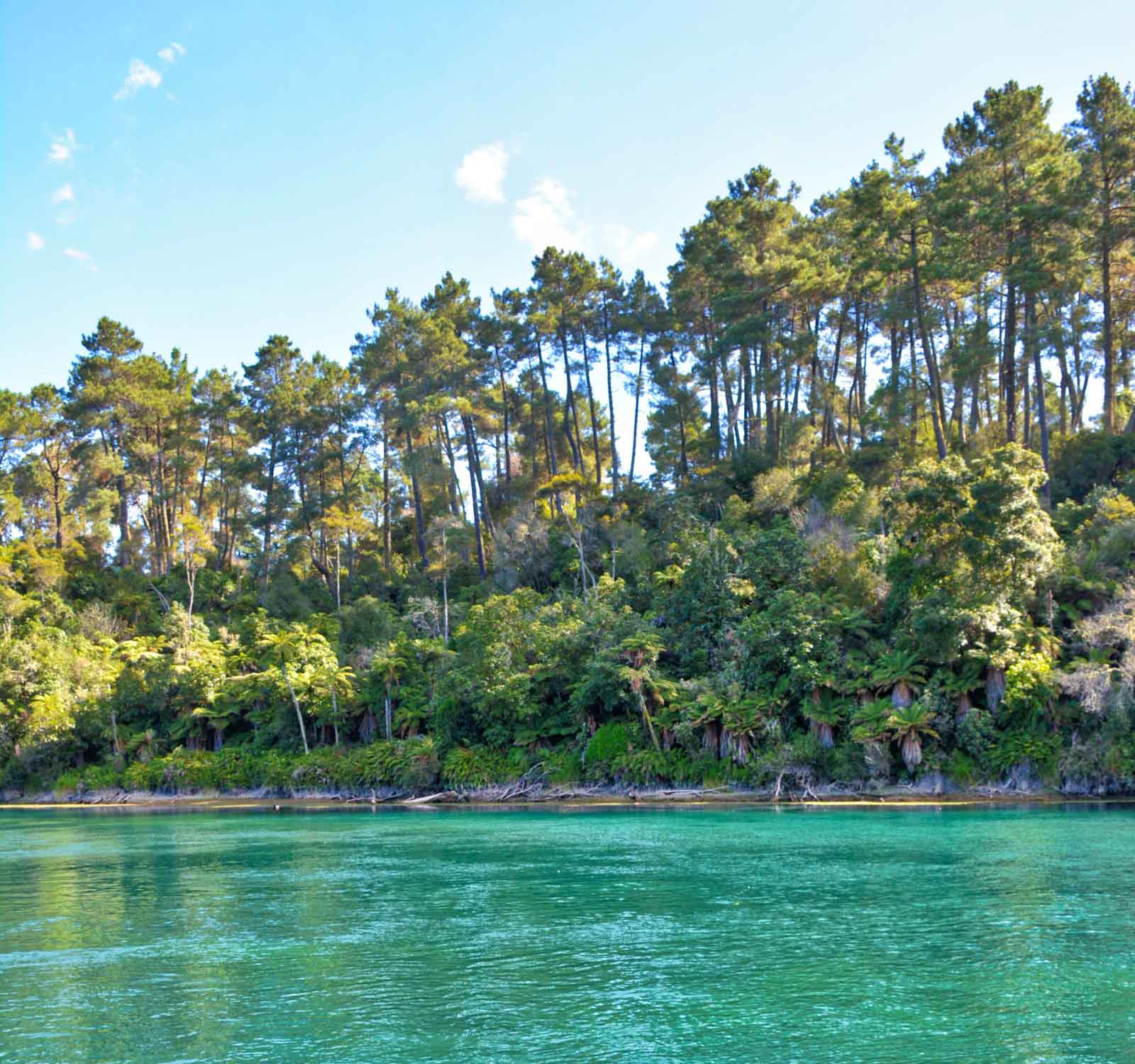 que hacer en Taupo que hacer en Taupo