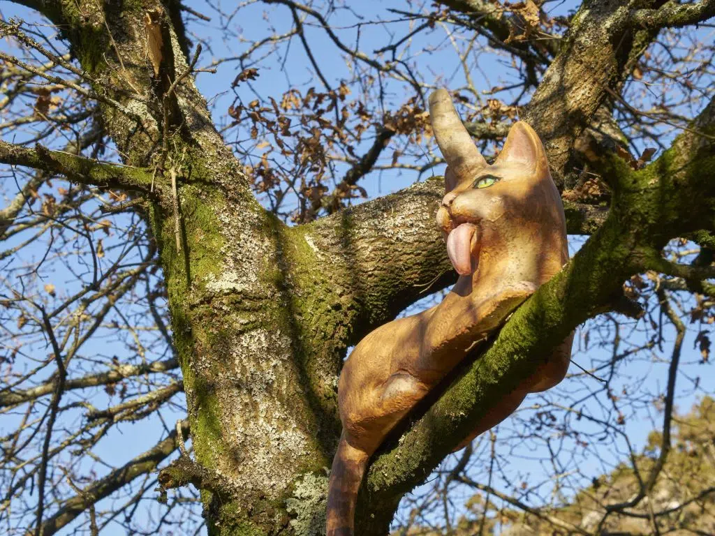 O Gatipedro, otra de las figuras de la Senda Mitológica del Monte Viso, en Santiago de Compostela.