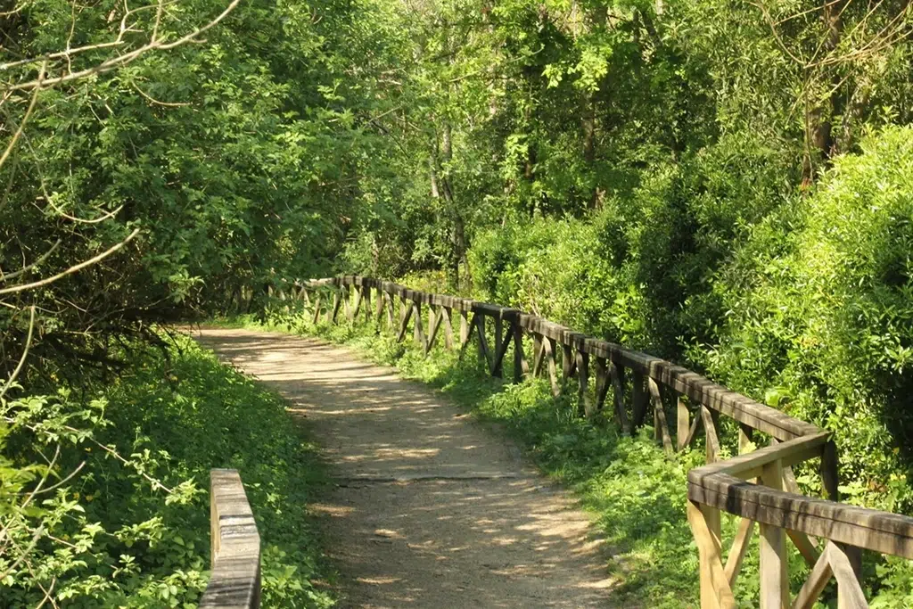 Sendero cerca de Salvaterra de Miño (Pontevedra).