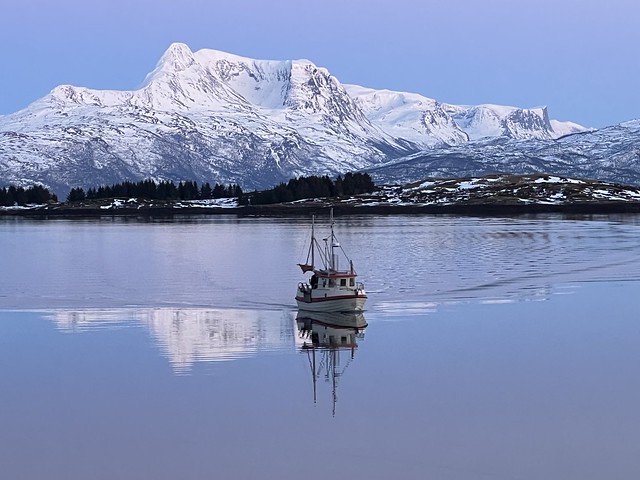 Barco navegando en un fiordo de Noruega