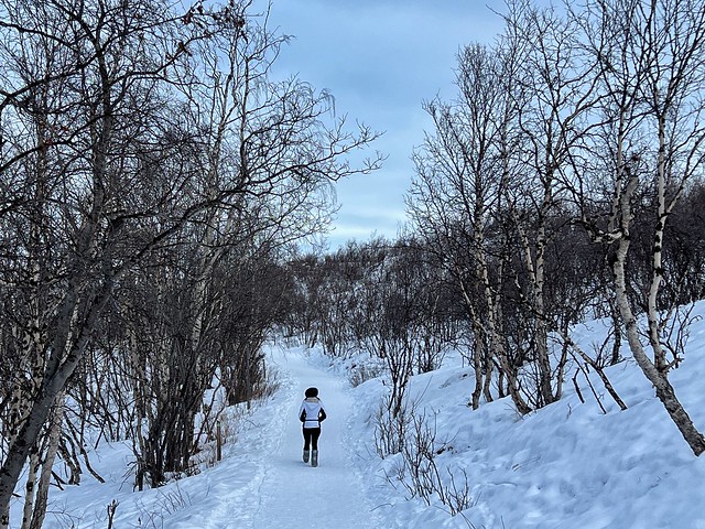 Caminando en la nieve en Laponia