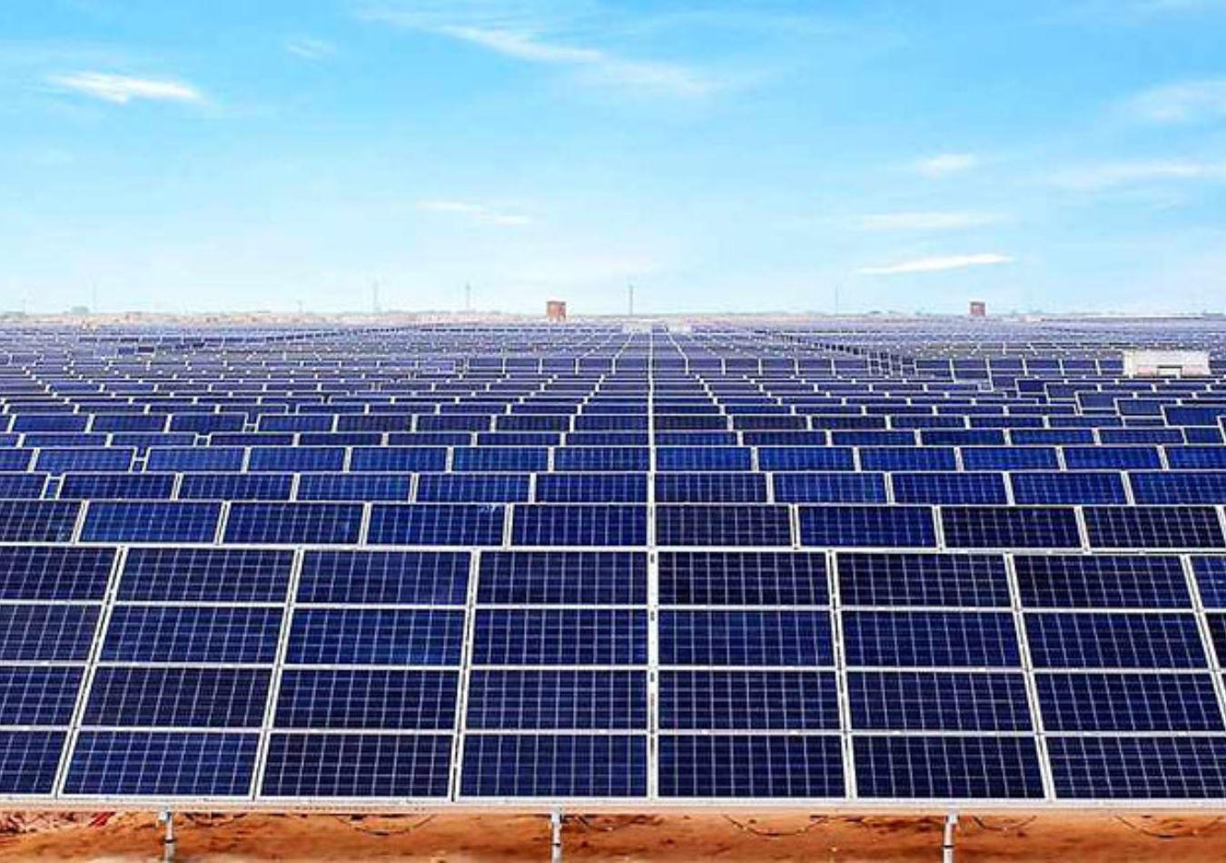 El desarrollo de las granjas solares en Asia: la experiencia de China-0