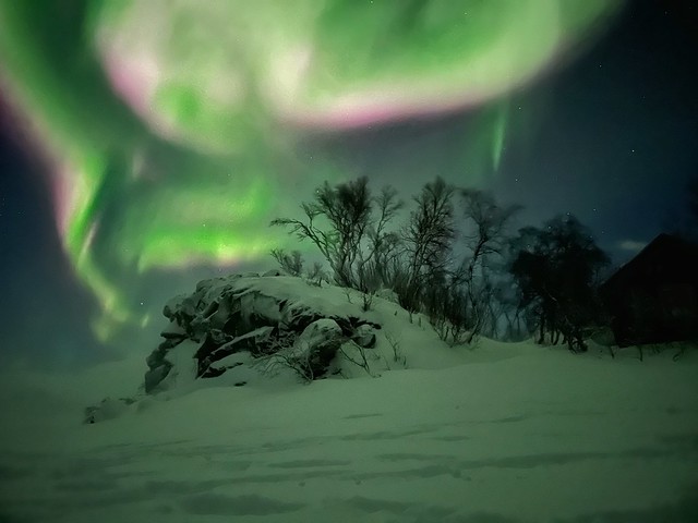 El color verde predomina en las auroras boreales