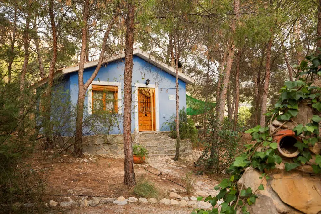 Casas rurales para ver la floración: Casa de la Higuera - La Navela