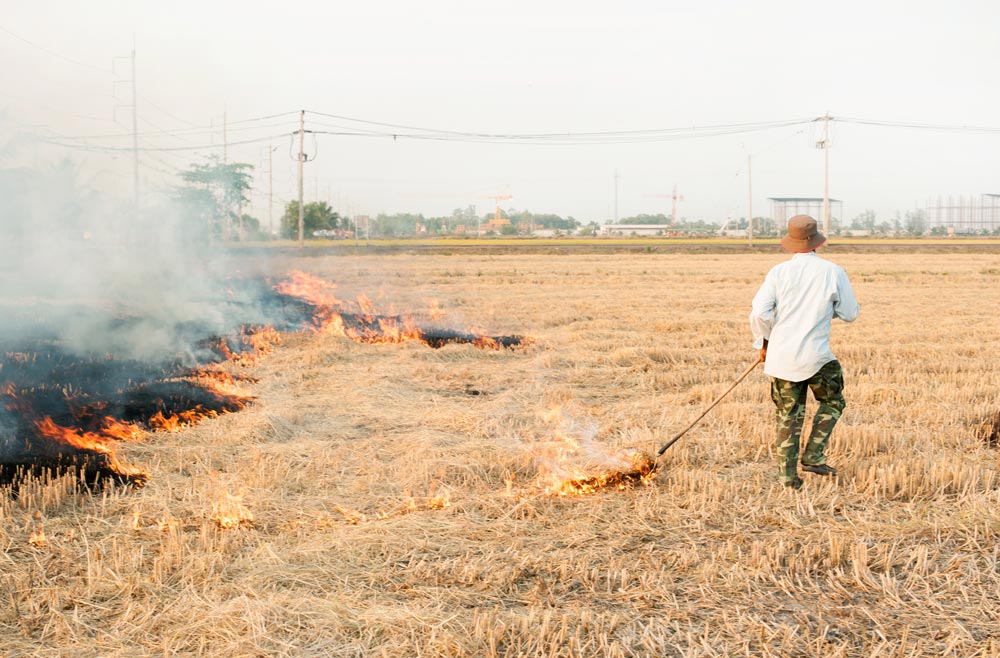 Agricultura y abonado