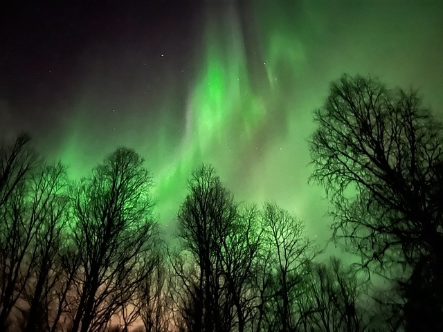 Auroras boreales en Laponia