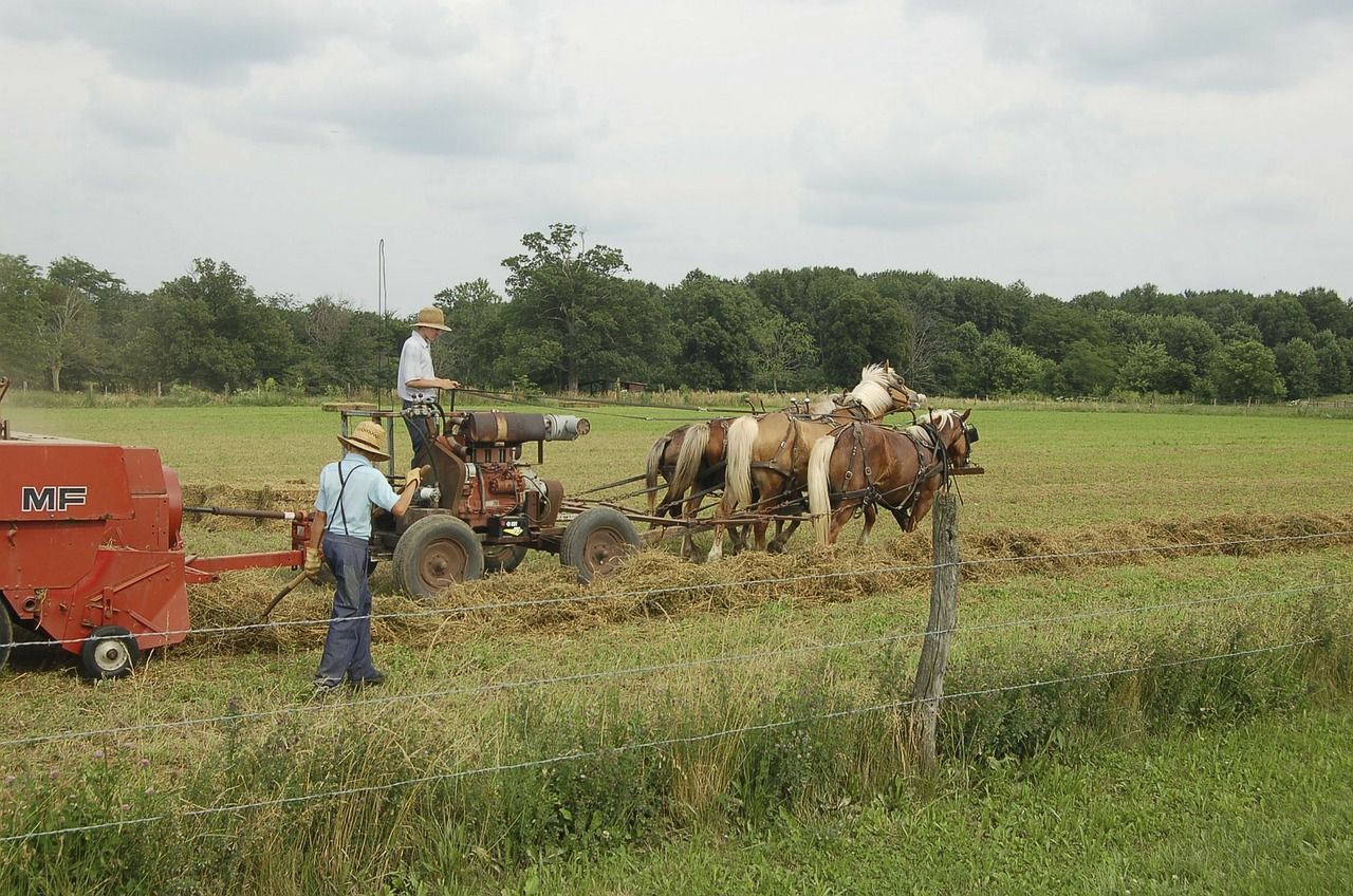 que hacer en Filadelfia poblado amish