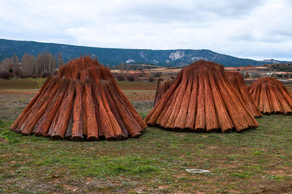 Paisaje de la ruta del mimbre. Por SoniaBonet.